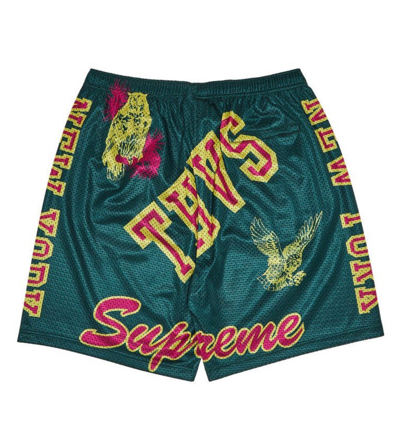 Supreme Varsity Mesh Shorts Green