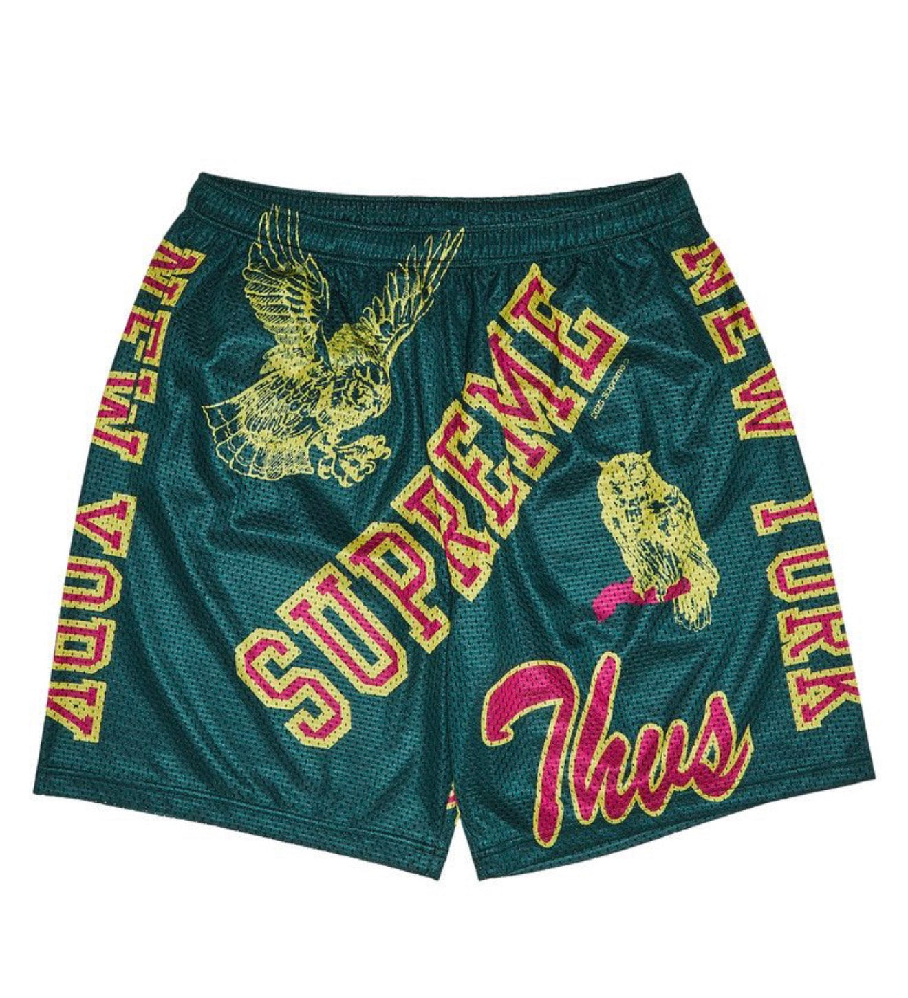 Supreme Varsity Mesh Shorts Green